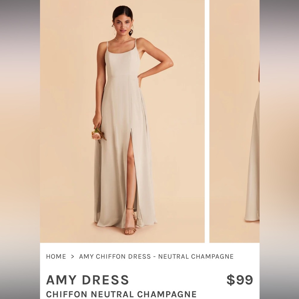 Birdy grey champagne dress
